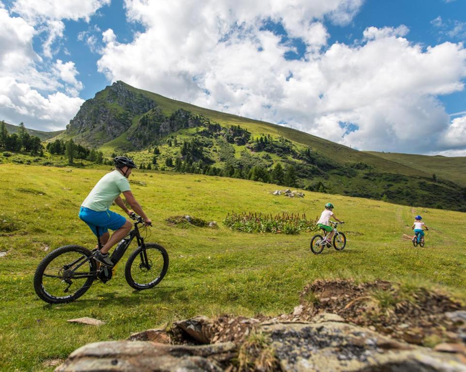 Penthouse Skyview Im Natur-Erlebnispark Bad Kleinkirchheim Patergassen Dış mekan fotoğraf