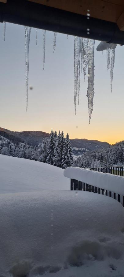 Penthouse Skyview Im Natur-Erlebnispark Bad Kleinkirchheim Patergassen Dış mekan fotoğraf